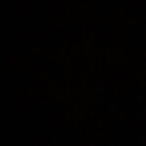 Meet your Posher, Naydelin